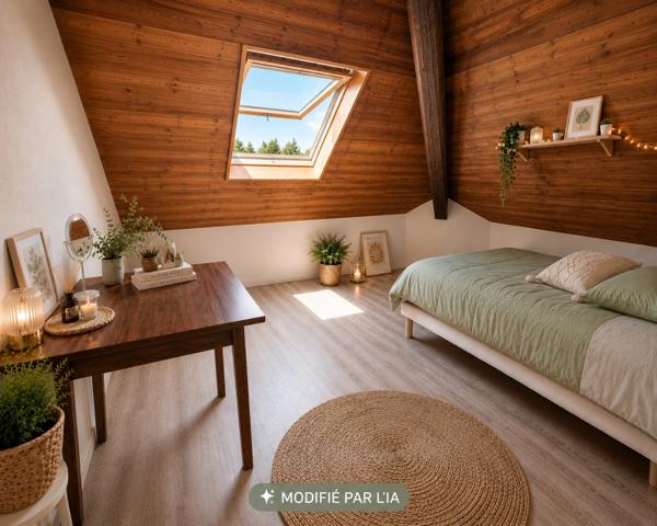 LOT DE 2 APPARTEMENTS A VENDRE SAINT PIERRE EN FAUCIGNY (74)