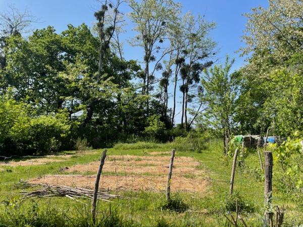 Ferme début 20ème siècle rénovée sur terrain 9007 m²