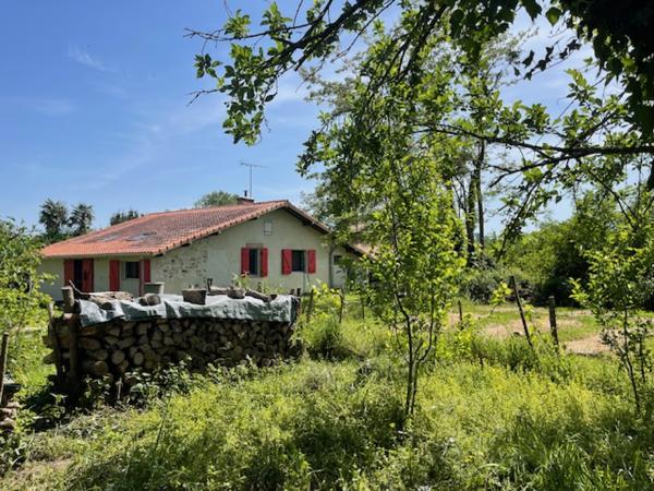 Ferme début 20ème siècle rénovée sur terrain 9007 m²