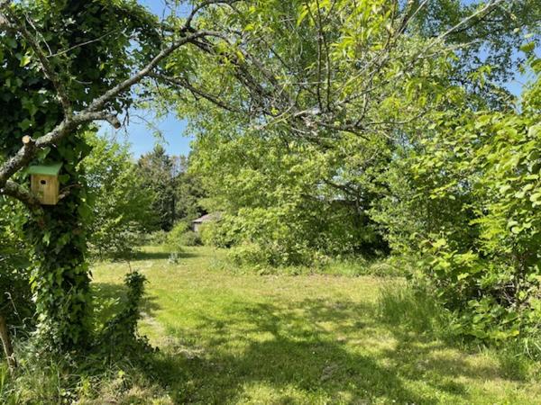 Ferme début 20ème siècle rénovée sur terrain 9007 m²