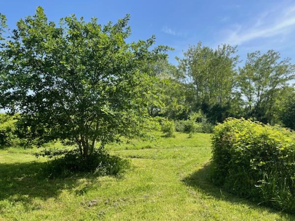 Ferme début 20ème siècle rénovée sur terrain 9007 m²