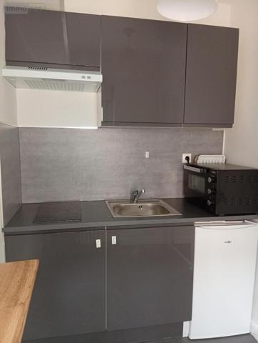 Appartement à louer à Reims dans la Marne (51100), ref : 51082-L1029   
Centre et Grand Centre