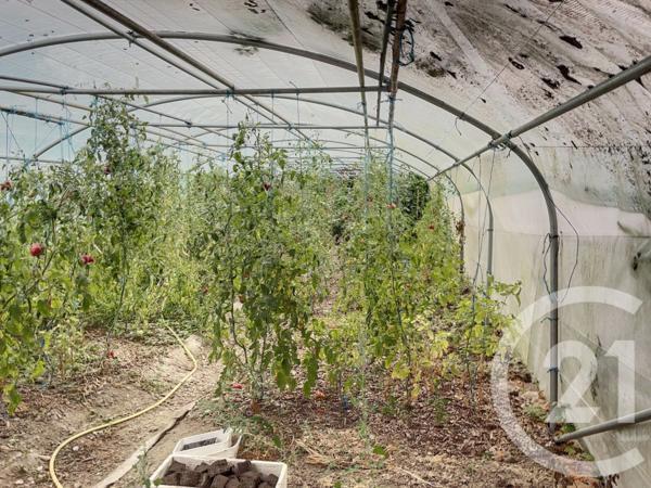 Maison à vendre  6 pièces - 201,10 m2 CONFRANCON - 01