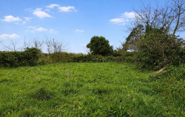 Vente Terrain Constructible Vicq-sur-mer   