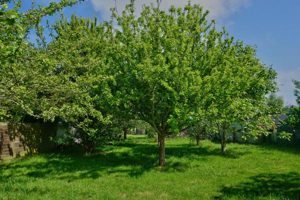 Pordic (22590) Maison familiale proche des commodités à Pordic