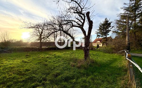 Terrain à vendre    Douriez