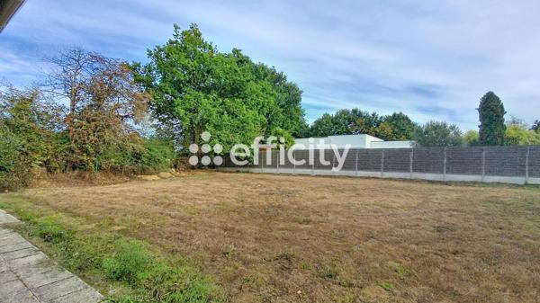 Terrain
        
        - 1326 m² 164 000 € *