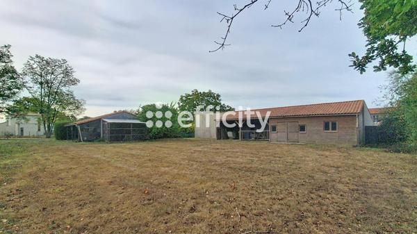 Terrain
        
        - 1326 m² 164 000 € *