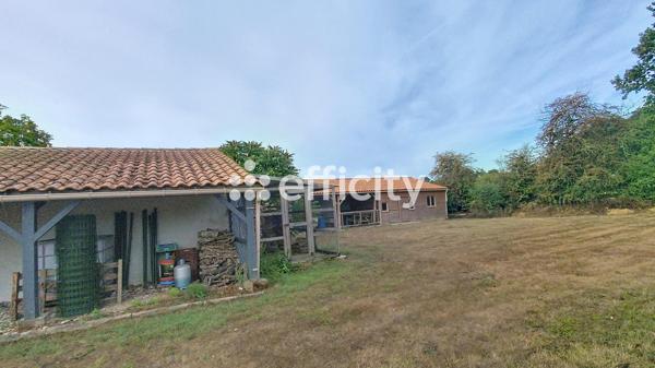 Terrain
        
        - 1326 m² 164 000 € *