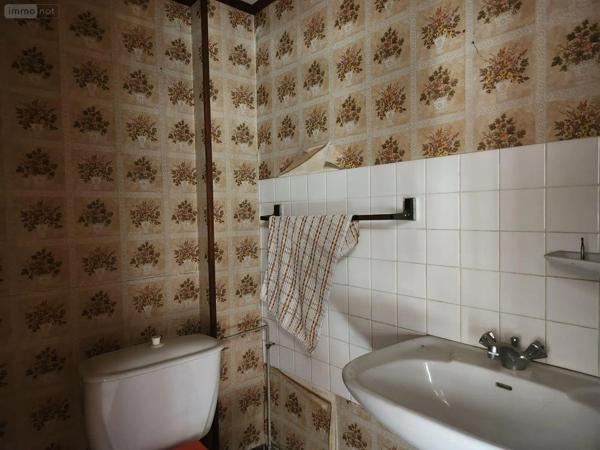 Achat - Immeuble | Local mixte (Pro/Hab) Bar-sur-Aube 10200 8 pièces 191 m 2 141 m 2