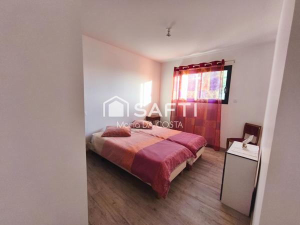 Vue sur les Pyrénées