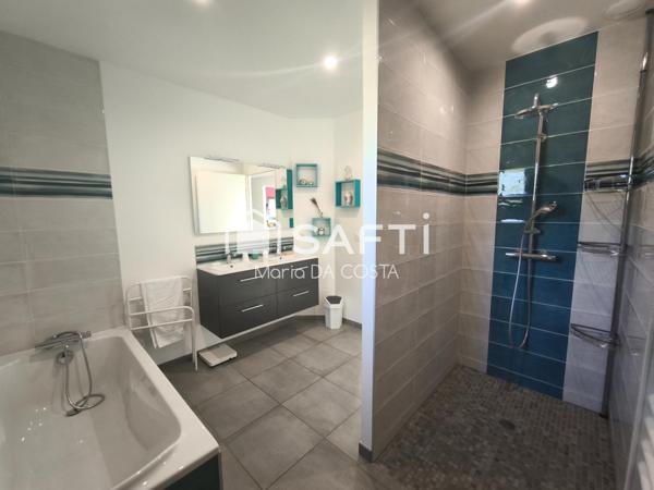 Vue sur les Pyrénées