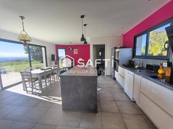 Vue sur les Pyrénées