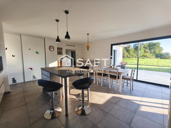 Vue sur les Pyrénées