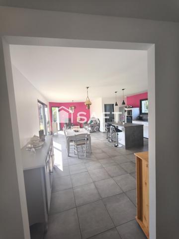 Vue sur les Pyrénées