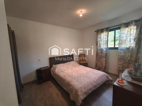 Vue sur les Pyrénées