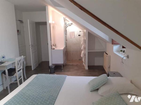 Local mixte (Professionnel/Habitation)