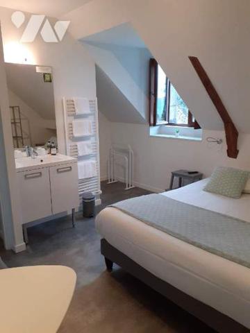 Local mixte (Professionnel/Habitation)