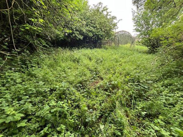 Terrain à vendre |  Auvers-sur-Oise |  982 m²