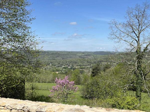 Maison ancienne - Les eyzies En Périgord Noir, proche de Saint-Léon-Sur-Vézère, au calme, très jolie maison ancienne entièrement restaurée avec soin. Magnifique vue sur la vallée. Unique. A voir!