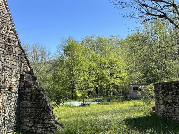 Maison ancienne - Les eyzies En Périgord Noir, proche de Saint-Léon-Sur-Vézère, au calme, très jolie maison ancienne entièrement restaurée avec soin. Magnifique vue sur la vallée. Unique. A voir!