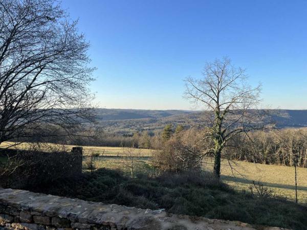 Maison ancienne - Les eyzies En Périgord Noir, proche de Saint-Léon-Sur-Vézère, au calme, très jolie maison ancienne entièrement restaurée avec soin. Magnifique vue sur la vallée. Unique. A voir!