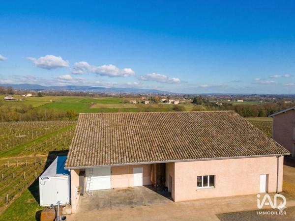 Local d’activité à vendre 400 m² Arnas