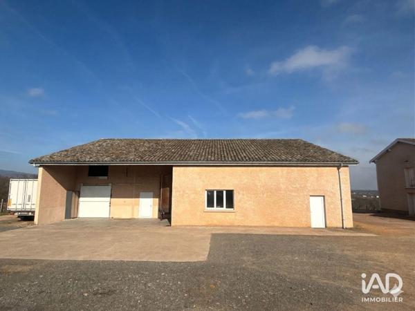 Local d’activité à vendre 400 m² Arnas