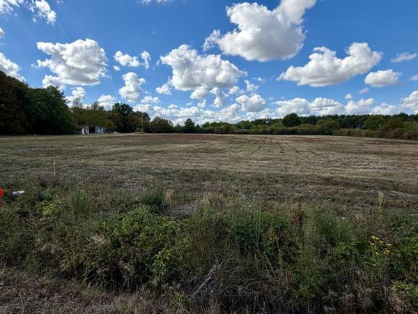 Terrain 37 500 € Sassay 700 m² DPE