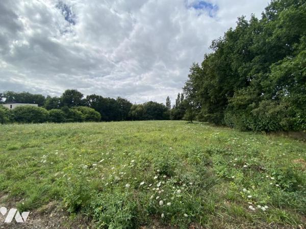 MAISON 148M² - 8000 M² de parcelle 