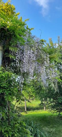 Maison à SAINTIGNY, 28480 - 5 pièces 120m²