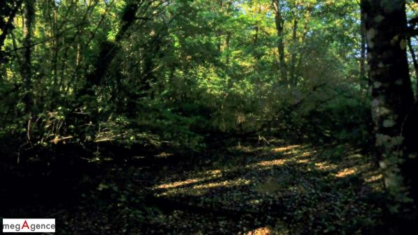 Maison à SAINTIGNY, 28480 - 5 pièces 120m²