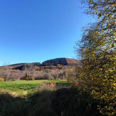 Maison Marigny L'Eglise 2 pièces  35 000