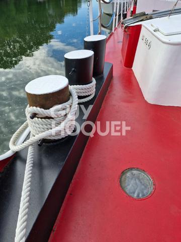 Maison loft navigante - Moret-sur-Loing