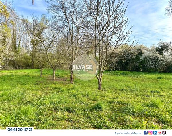 Saint-Bonnet-en-Bresse (71310) Terrain | 1845 m² | Chalet 22 m²