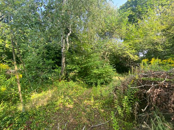 Maison Saint Jean De Braye 8 pièce(s)