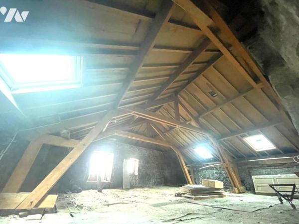 IMMEUBLE / MURS ANCIEN COMMERCE A SAINT CHELY D'APCHER