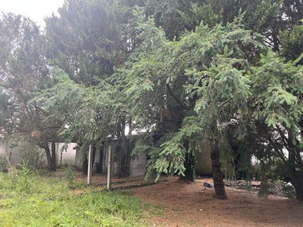 Terrain à vendre |  Romorantin-Lanthenay |  338 m²