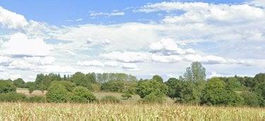 Terrain agricole à vendre à Argouges dans la Manche (50240), ref : 12541/1969