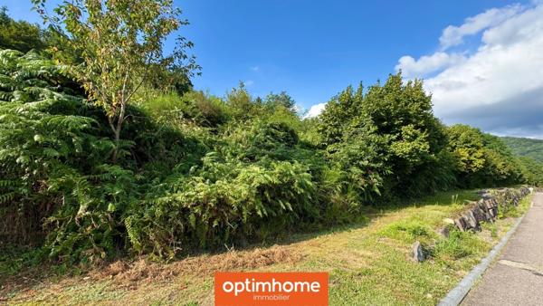 🌲 Terrain viabilisé 1785 m² – Vue exceptionnelle à Saulxures-sur-Moselotte 🌄