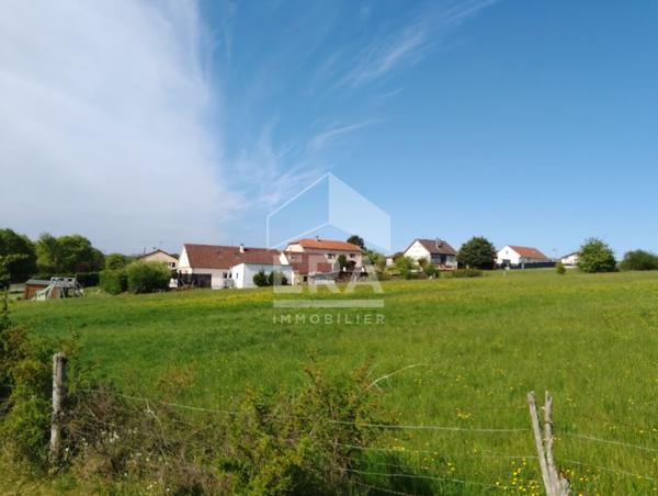 Terrain Plat  proche Mirecourt d'environ 1600 m2