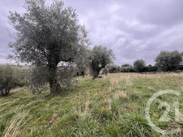 Terrain à vendre  1001 m2 VENCE - 06