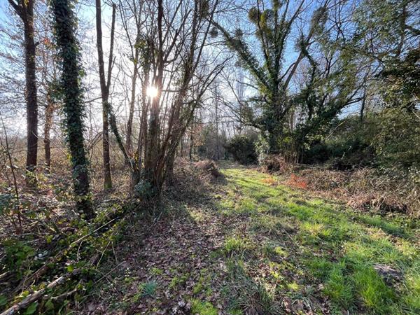 Terrain de loisirs Langon Sur Cher