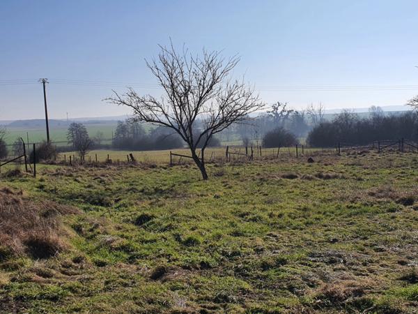 Dpt Vosges (88), à vendre proche de CONTREXEVILLE VITTEL - FERME LORRAINE T7 sur 1,7 hectare de TERRAIN