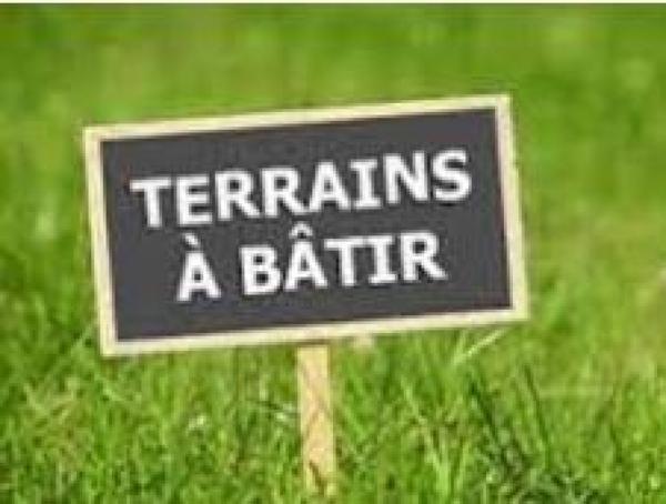 Terrain