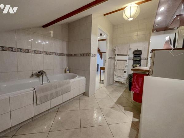 ALBIGNY SUR SAÔNE VILLA 7 pièces 213m² hab 2414m² terrain