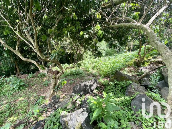 Terrain à vendre 501 m² Saint-Pierre