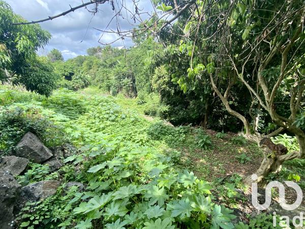 Terrain à vendre 501 m² Saint-Pierre