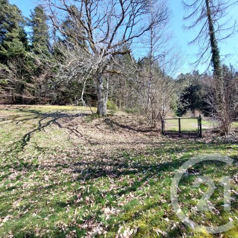 Maison à vendre  24 pièces - 985,34 m2 COMBRIMONT - 88