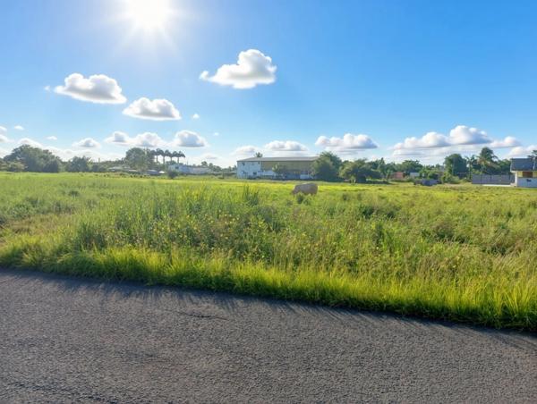 Grand Terrain plat constructible UG à vendre de 3 441,00 m² SAINTE ANNE (971)